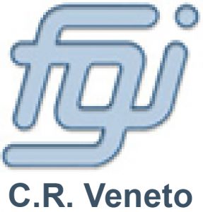 comitato regionale veneto ginnastica
